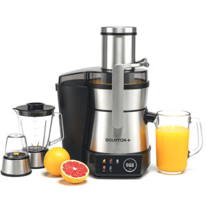 آبمیوه گیری 4 کاره آنالوگ دایتون مدل DP-304